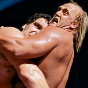 Hogan e il gigante